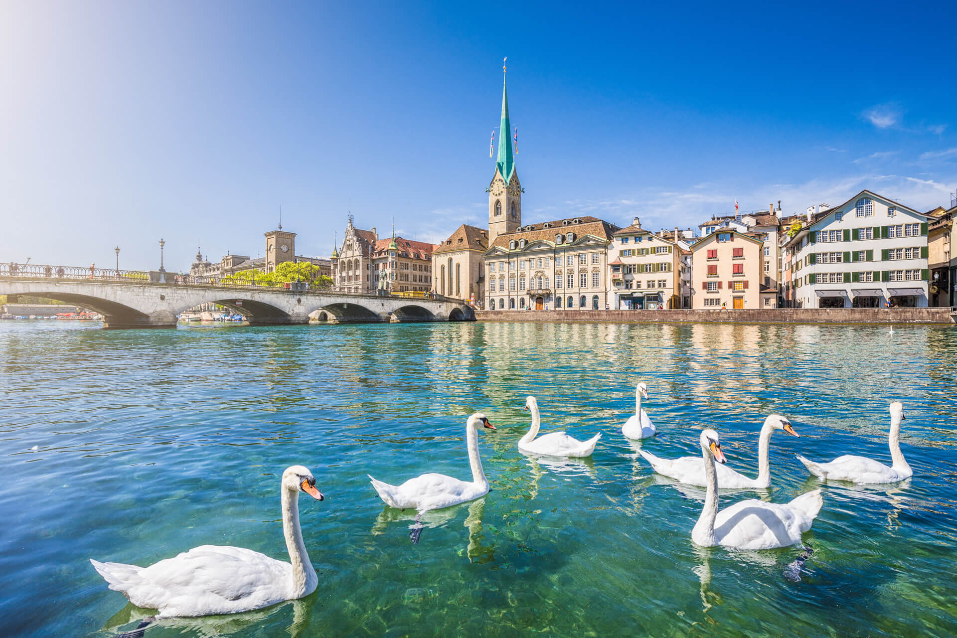 Fraumunster Church and swans on river Limmat in Zurich